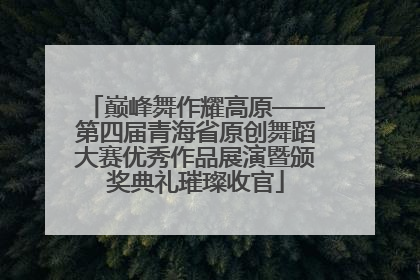 巅峰舞作耀高原——第四届青海省原创舞蹈大赛优秀作品展演暨颁奖典礼璀璨收官