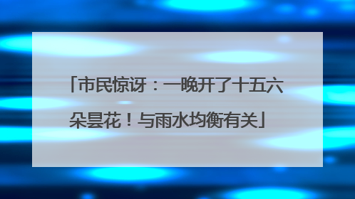 市民惊讶：一晚开了十五六朵昙花！与雨水均衡有关