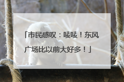 市民感叹：唛唛！东风广场比以前大好多！
