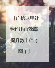 广信这里让毛竹出山效率提升数十倍（图）