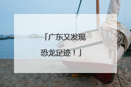 广东又发现恐龙足迹！