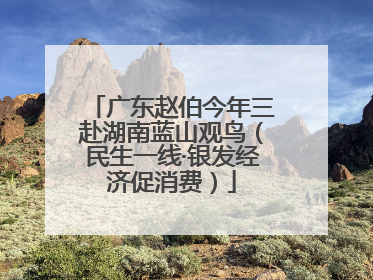 广东赵伯今年三赴湖南蓝山观鸟（民生一线·银发经济促消费）