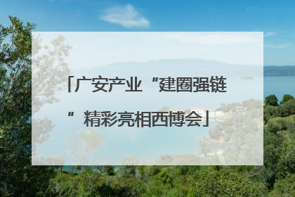广安产业“建圈强链”精彩亮相西博会