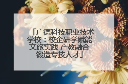 广德科技职业技术学校：校企研学赋能文旅实践 产教融合锻造专技人才