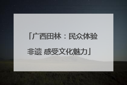 广西田林：民众体验非遗 感受文化魅力