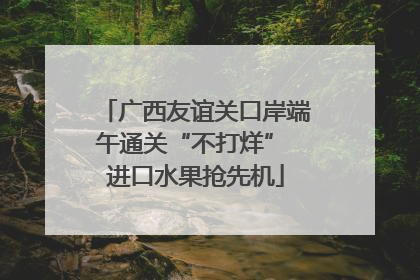 广西友谊关口岸端午通关“不打烊” 进口水果抢先机