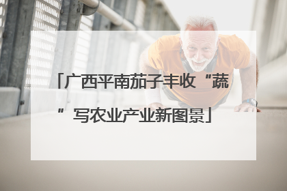 广西平南茄子丰收“蔬”写农业产业新图景