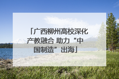 广西柳州高校深化产教融合 助力“中国制造”出海