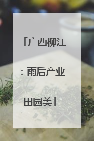 广西柳江：雨后产业田园美