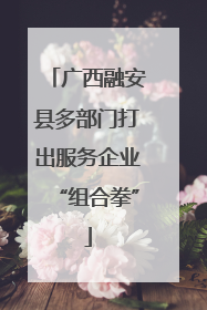 广西融安县多部门打出服务企业“组合拳”