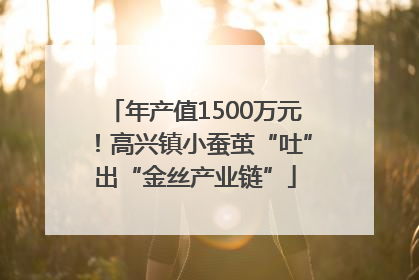 年产值1500万元！高兴镇小蚕茧“吐”出“金丝产业链”
