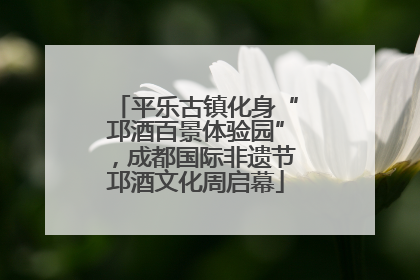 平乐古镇化身“邛酒百景体验园”，成都国际非遗节邛酒文化周启幕