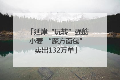 延津“玩转”强筋小麦 “魔方面包”卖出132万单