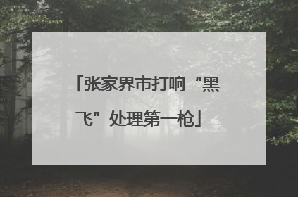 张家界市打响“黑飞”处理第一枪