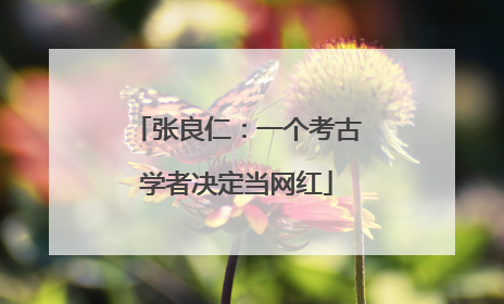 张良仁：一个考古学者决定当网红