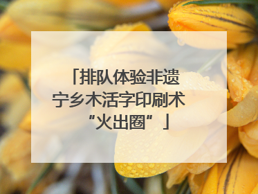 排队体验非遗 宁乡木活字印刷术“火出圈”
