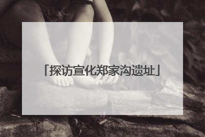 探访宣化郑家沟遗址