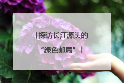 探访长江源头的“绿色邮局”