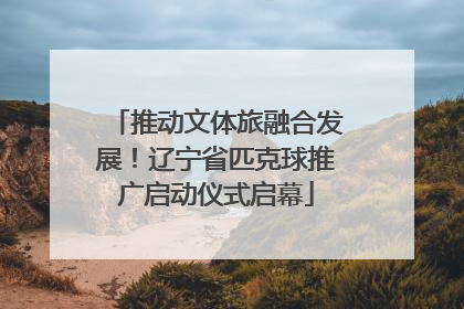 推动文体旅融合发展！辽宁省匹克球推广启动仪式启幕
