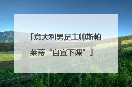 意大利男足主帅斯帕莱蒂“自宣下课”
