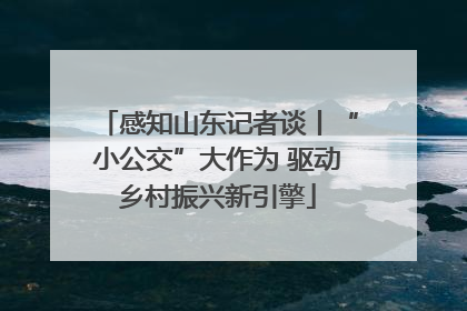 感知山东记者谈丨“小公交”大作为 驱动乡村振兴新引擎