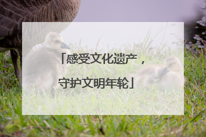 感受文化遗产，守护文明年轮