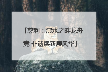 慈利：澧水之畔龙舟竞 非遗焕新展风华