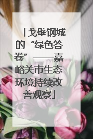 戈壁钢城的“绿色答卷”——嘉峪关市生态环境持续改善观察