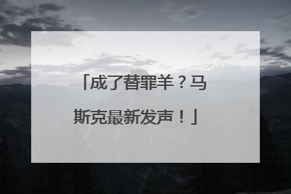 成了替罪羊？马斯克最新发声！
