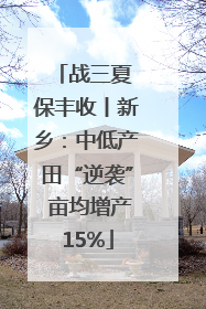 战三夏 保丰收丨新乡：中低产田“逆袭” 亩均增产15%