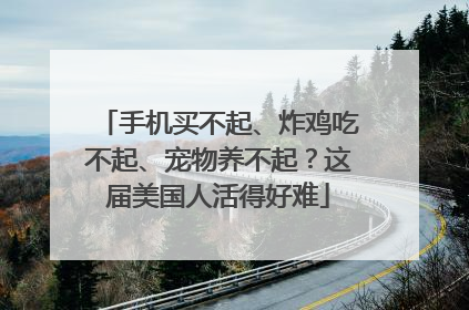 手机买不起、炸鸡吃不起、宠物养不起？这届美国人活得好难