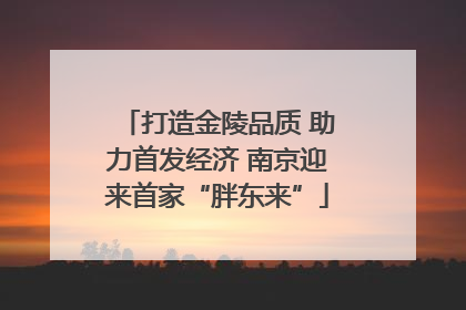 打造金陵品质 助力首发经济 南京迎来首家“胖东来”