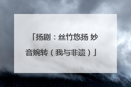 扬剧：丝竹悠扬 妙音婉转（我与非遗）