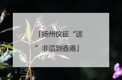 扬州仪征“送”非遗到香港