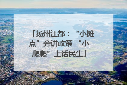 扬州江都：“小摊点”旁讲政策 “小爬爬”上话民生