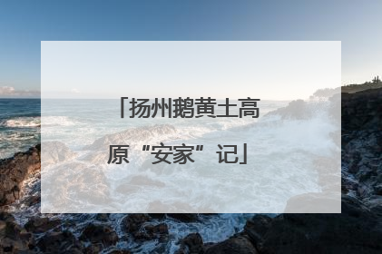 扬州鹅黄土高原“安家”记