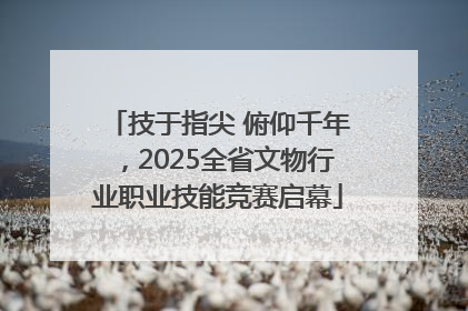 技于指尖 俯仰千年，2025全省文物行业职业技能竞赛启幕