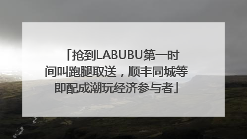 抢到LABUBU第一时间叫跑腿取送，顺丰同城等即配成潮玩经济参与者
