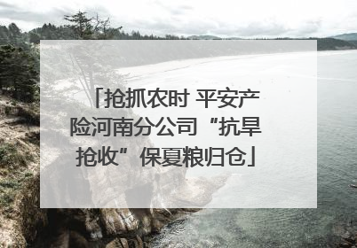 抢抓农时 平安产险河南分公司“抗旱抢收”保夏粮归仓