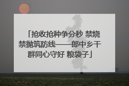 抢收抢种争分秒 禁烧禁抛筑防线——郎中乡干群同心守好 粮袋子