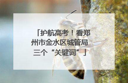 护航高考！看郑州市金水区城管局三个“关键词”