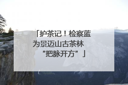 护茶记！检察蓝为景迈山古茶林 “把脉开方”