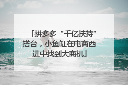 拼多多“千亿扶持”搭台，小鱼缸在电商西进中找到大商机