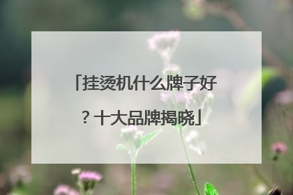 挂烫机什么牌子好？十大品牌揭晓