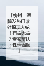 柳州一医院发热门诊外惊现大蛇！有毒无毒？专家辨认：性情温顺