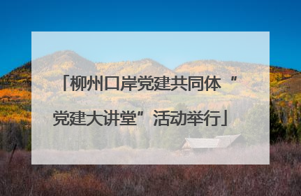 柳州口岸党建共同体“党建大讲堂”活动举行