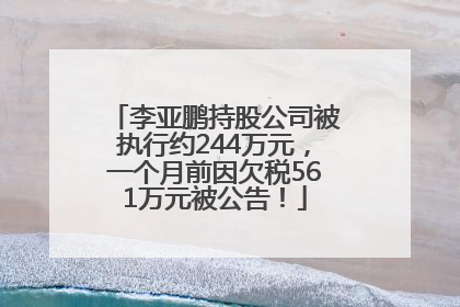 李亚鹏持股公司被执行约244万元，一个月前因欠税561万元被公告！