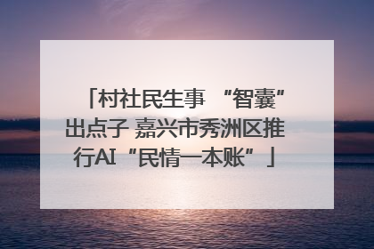 村社民生事 “智囊”出点子 嘉兴市秀洲区推行AI“民情一本账”