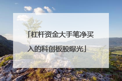 杠杆资金大手笔净买入的科创板股曝光