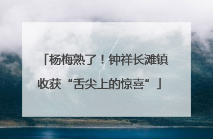 杨梅熟了！钟祥长滩镇收获“舌尖上的惊喜”